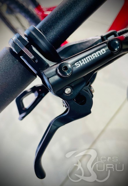 SCALPEL XC CARBON 4 2025