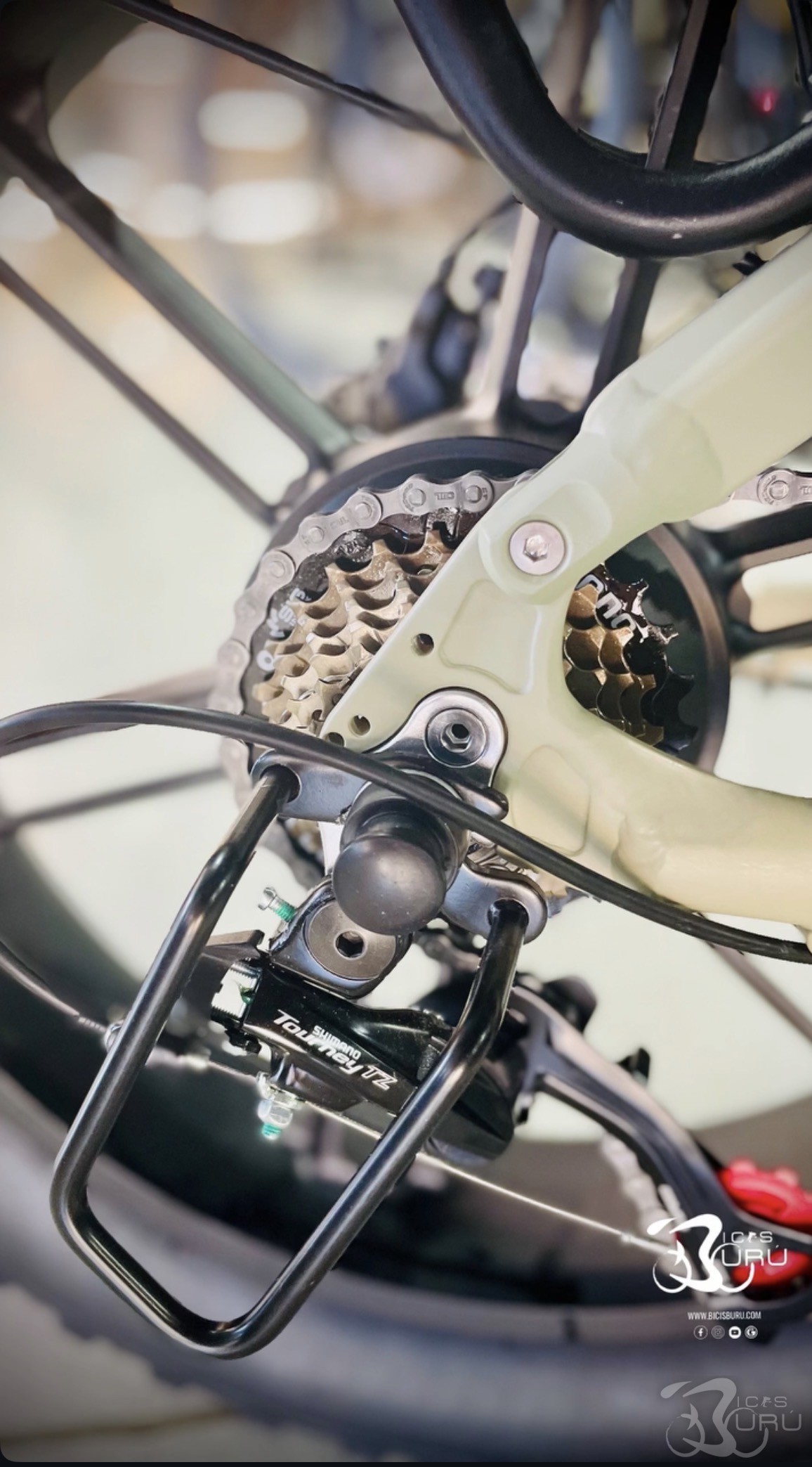 Biwbik Dakar Plus Ebike