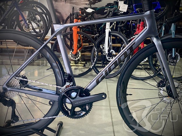 NUEVA GIANT TCR 2025