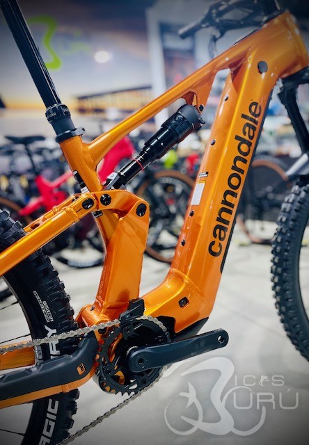 CANNONDALE MOTERRA +4 2026