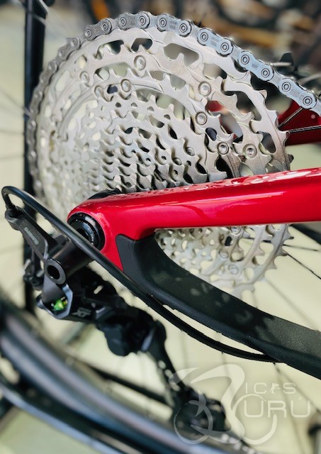 SCALPEL XC CARBON 4 2025