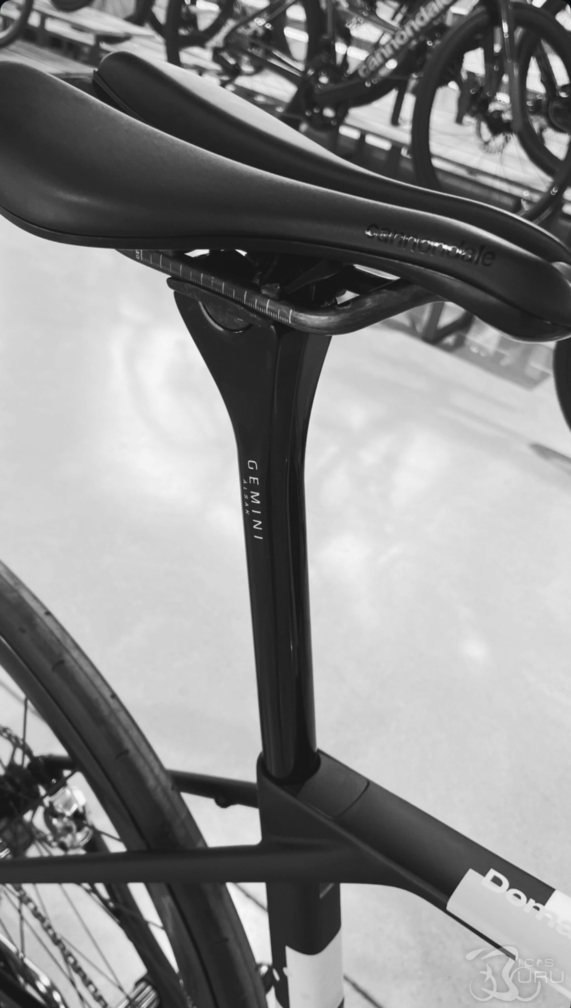 NEW PROJECT BIKE