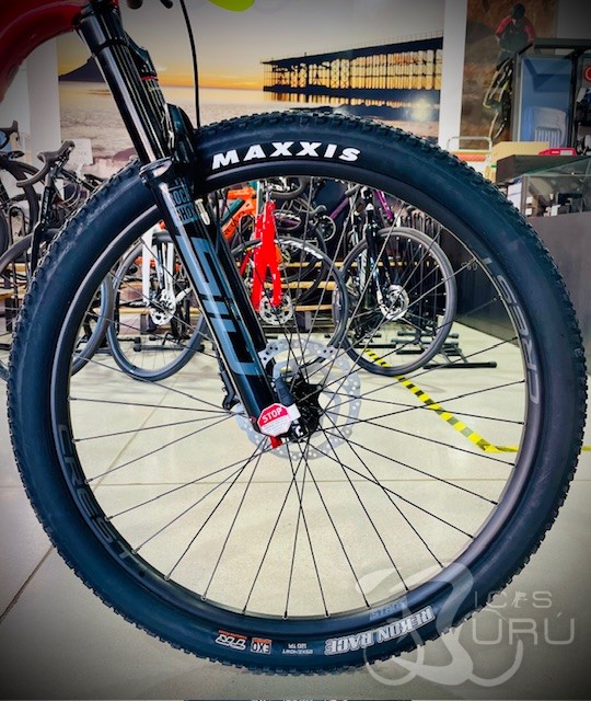 SCALPEL XC CARBON 4 2025