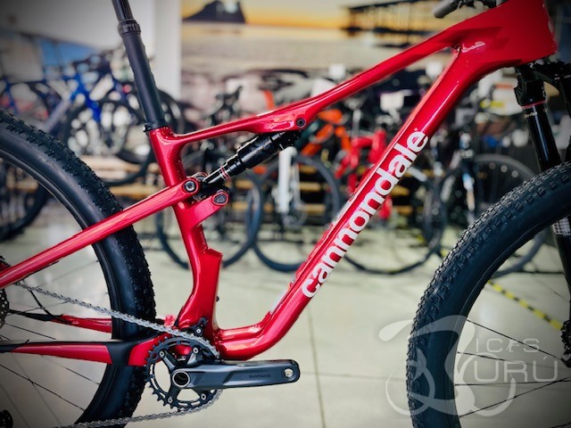 SCALPEL XC CARBON 4 2025