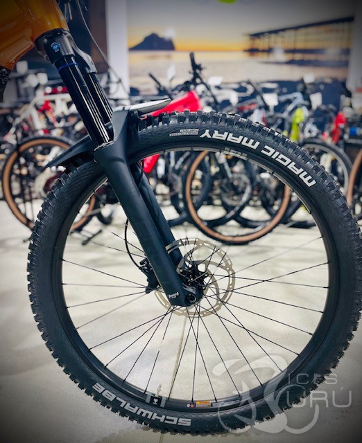 CANNONDALE MOTERRA +4 2026