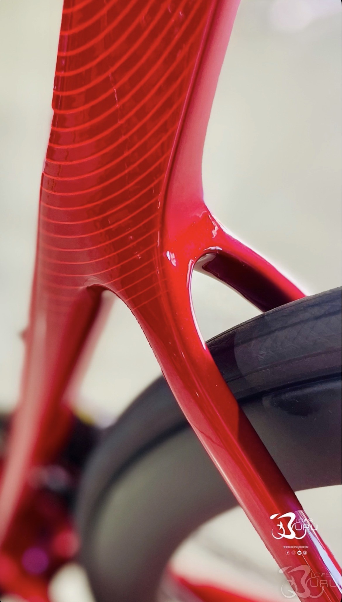 LIQUIDACIÓN CANNONDALE SUPERSIX EVO 2 2026